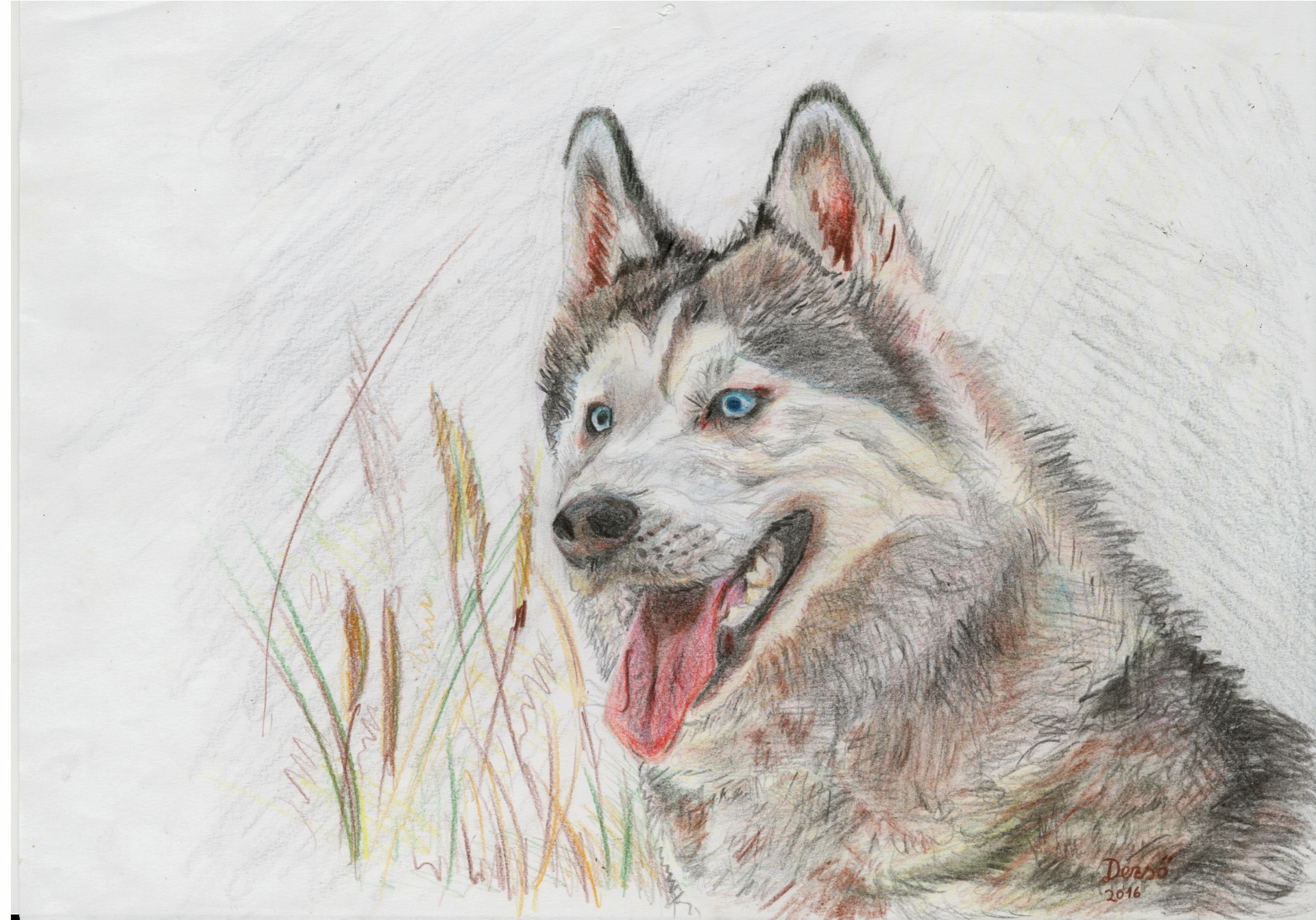 FOTO 11 Wolf